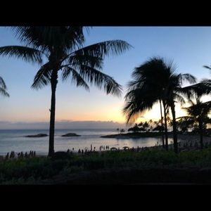 Meet your Posher, Regina